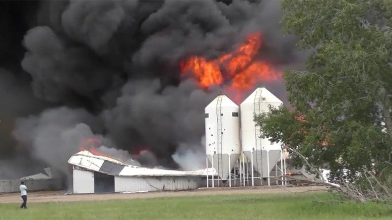 5,000 pigs burn alive in Saskatchewan barn fire (VIDEO)