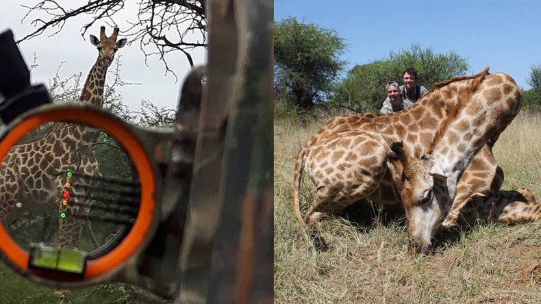 ‘Giraffe tastiest meat I ever ate’ - Swedish politician who eats & kills wild animals shocks SM 