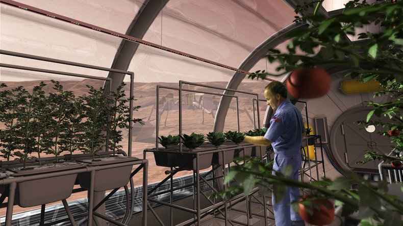 Vegetables harvested on Mars-like soil safe for humans – Dutch scientists