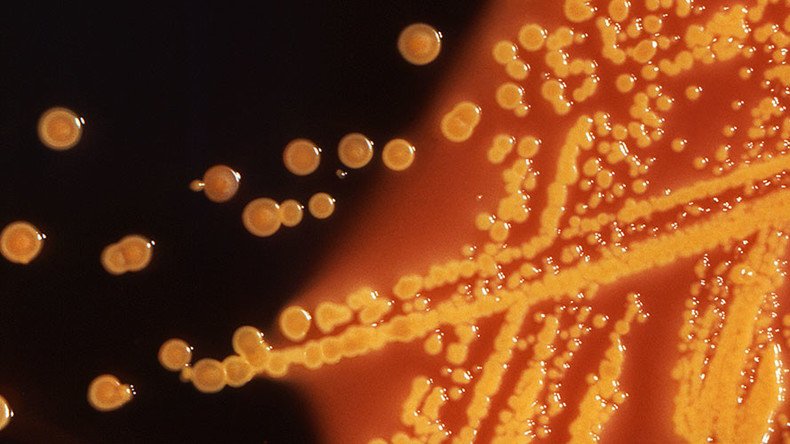 2nd US patient carrying antibiotic-resistant ‘superbug’ found in New York