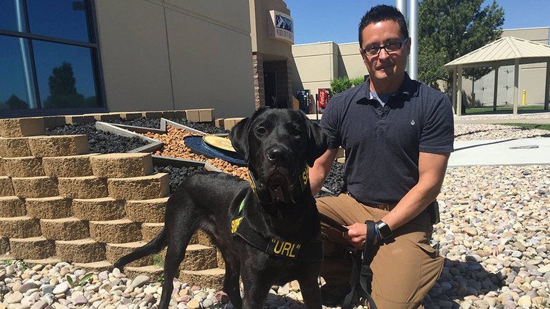 ‘Porn dog’ arrives in Utah to sniff out hidden storage devices