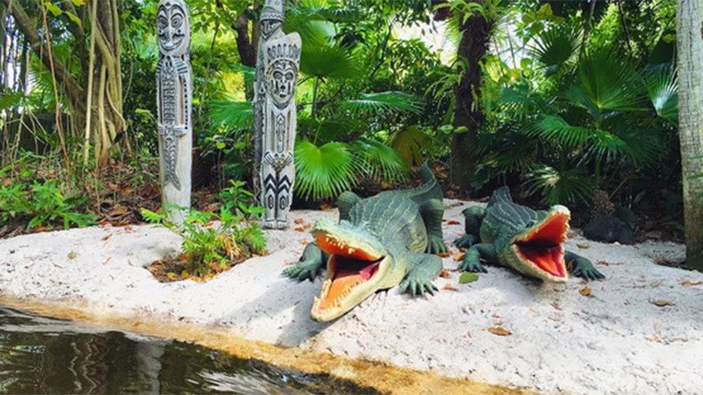 Disney World removes alligator references in wake of child death
