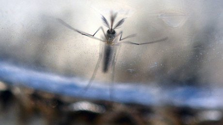  Zika virus may be transmitted by oral sex & kissing, doctors warn
