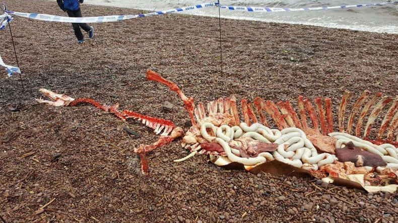 Ach naw: Remains of Loch Ness monster found along shoreline (PHOTOS)