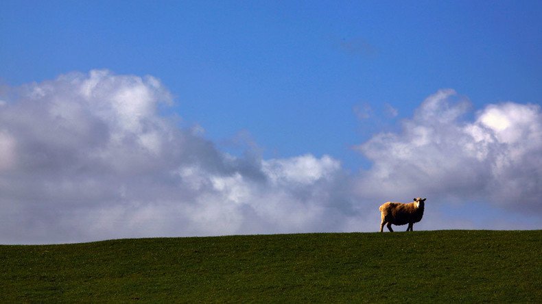 Tiny NZ town swamped with bids from all over world after sending out call for new residents