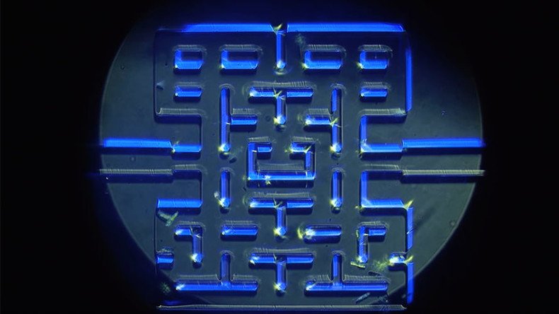 Pac-Man for scientists: Micro-organisms unleashed into videogame-style maze (VIDEO)