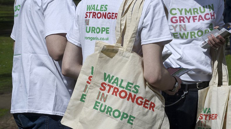 ‘Bregret’? Wales changes mind about leaving EU, poll finds