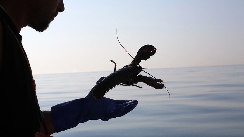 Holy lobster liberation! Monks release store-bought crustaceans into the wild (PHOTOS)