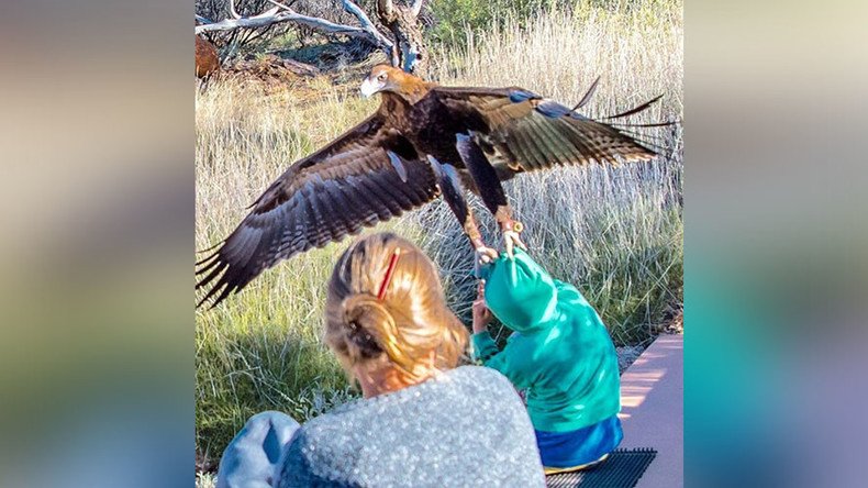 Terrifying moment huge eagle tries to snatch boy caught on camera (PHOTO)