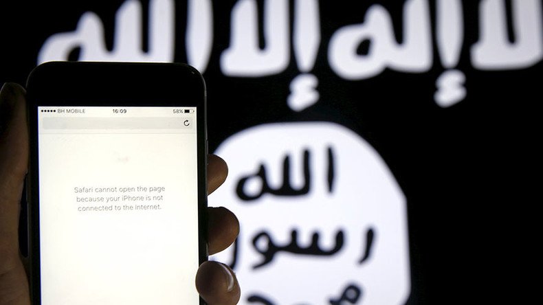 ‘ISIS computers up to 80 percent porn’ – US intelligence chief