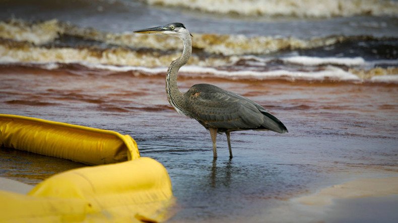 BP estimates loss from Gulf of Mexico oil spill at almost $62bn