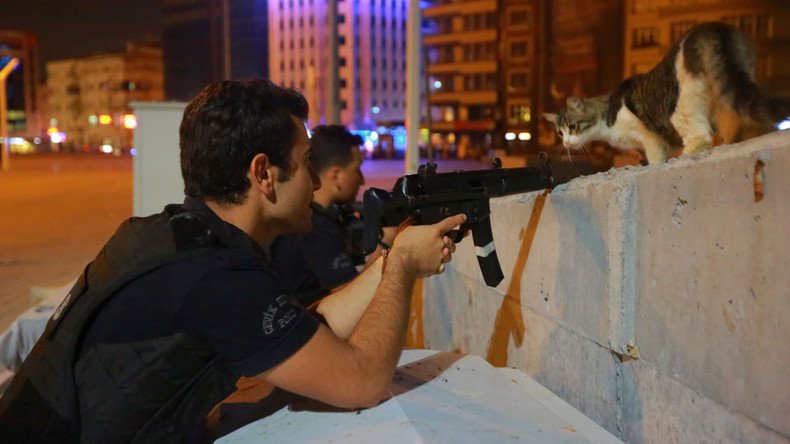 Defiant cat wins over internet during attempted coup in Turkey