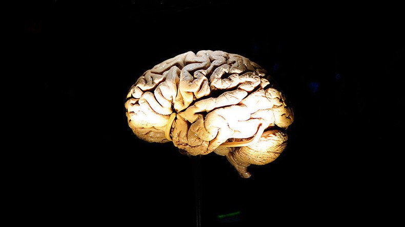 Human brain stashed by man who soaked marijuana in its embalming fluid 