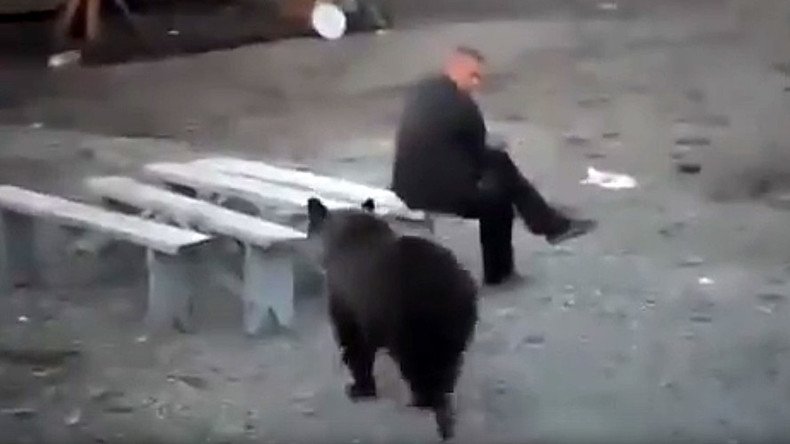 Russian man doesn’t give a damn about bear roaming nearby (VIDEO)