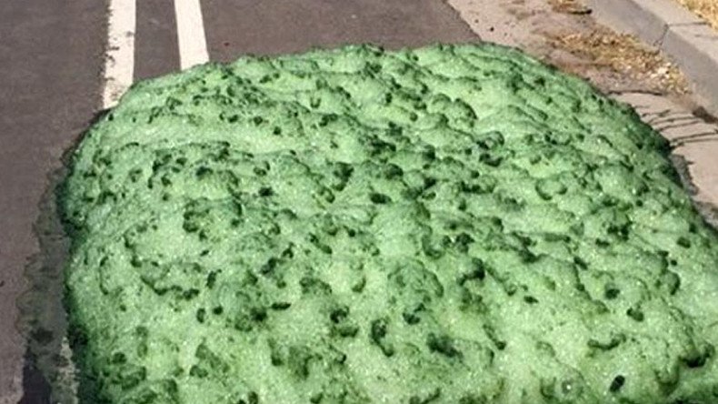 Who you gonna call? Mysterious green slime appears in Utah sewers (PHOTOS)
