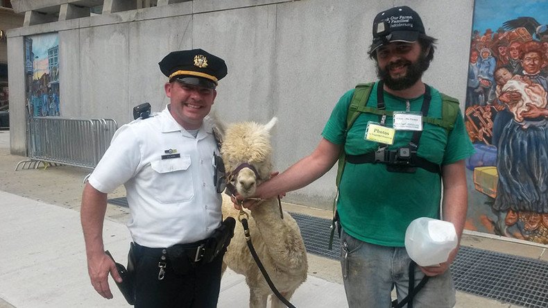 Philly PD clears up Camelidae confusion at DNC protest: It’s an alpaca