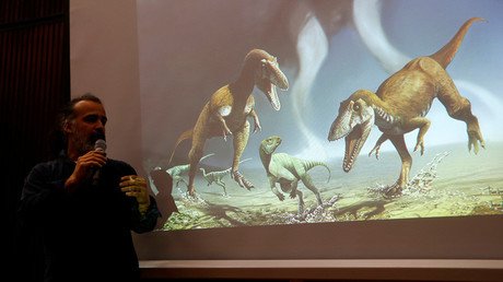 New dinosaur species discovered is the product of bad luck