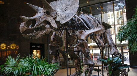 Dinosaurs wiped out when asteroid struck oil, claims study