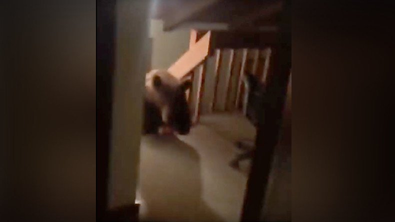 Over-bearing: Terrifying moment grizzly burglar breaks into house (VIDEO)