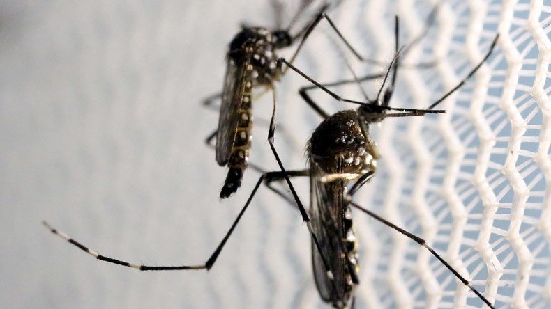 Freak of nature: FDA approves genetically engineered mosquitoes to combat Zika virus