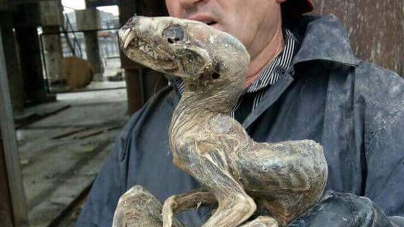 Mummified Siberian ‘monster’ may be lost species of dinosaur (PHOTO)