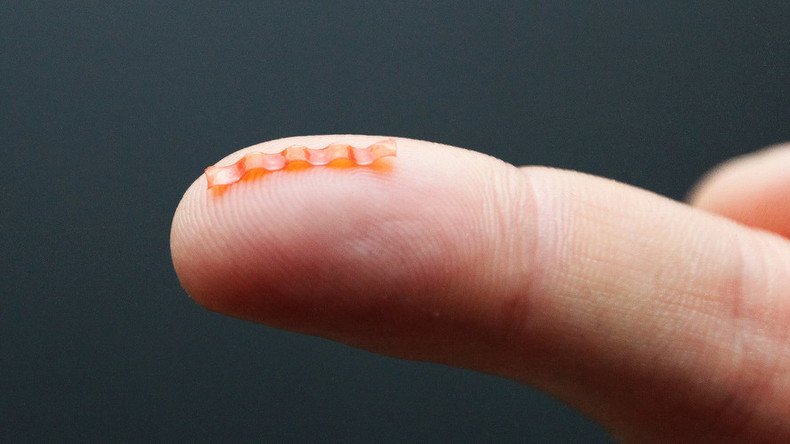 Tiny light-powered caterpillar robot mimics natural crawl (VIDEO)