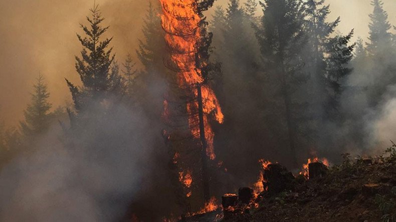 Oregon bills two pensioners $37mn for lawnmower-sparked wildfire