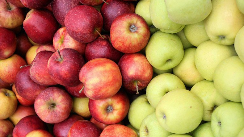 Polish apple farmers casualties of Russia-EU trade war