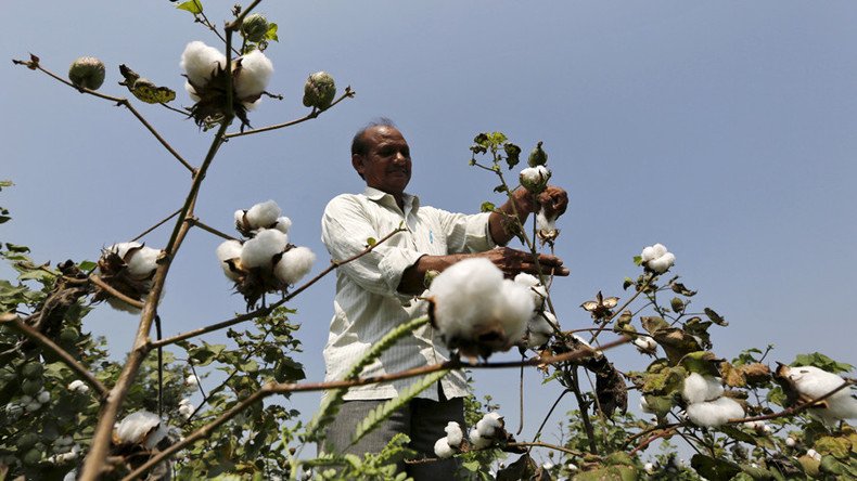 Spat causes Monsanto to pull new GM cotton seed from India