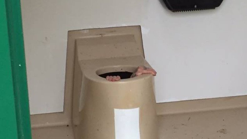 Norwegian man gets stuck in toilet rescuing phone (PHOTOS)