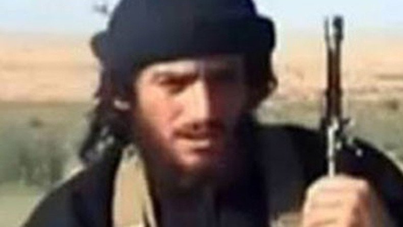 ‘Russia killing top ISIS leader should compel US to seek bilateral cooperation’