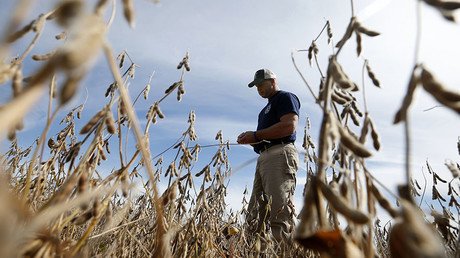 Farm feud: Monsanto and its clients under fire for damaging crops