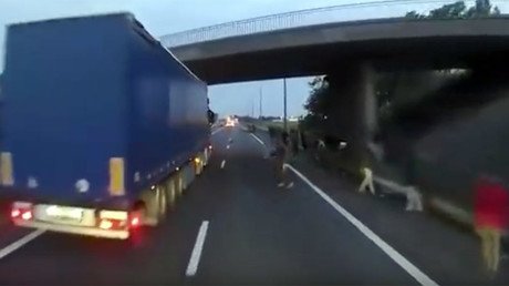 Men near Calais hurl branches at truck windscreens in apparent attempt to hijack vehicles (VIDEO)