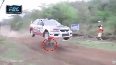 Lucky is as lucky does! Dog has incredible near miss on racetrack (VIDEO)