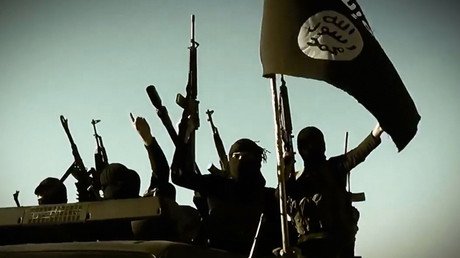 ‘Islamic State serves positive function in Syria’ - Israeli think tank