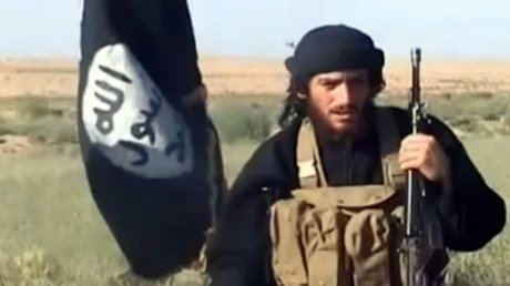 Russian airstrike killed senior ISIS leader Abu Muhammad al-Adnani – Moscow