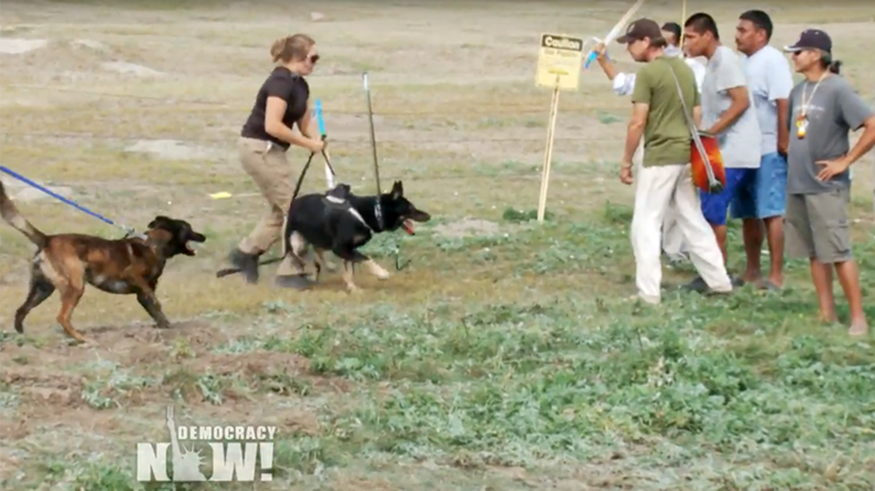 Sioux protesters ‘attacked’ by security dogs, pepper-sprayed at Dakota pipeline site (VIDEO)