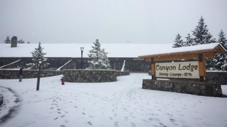 Stunning September snowstorm brings blizzard to Yellowstone (PHOTOS, VIDEOS)