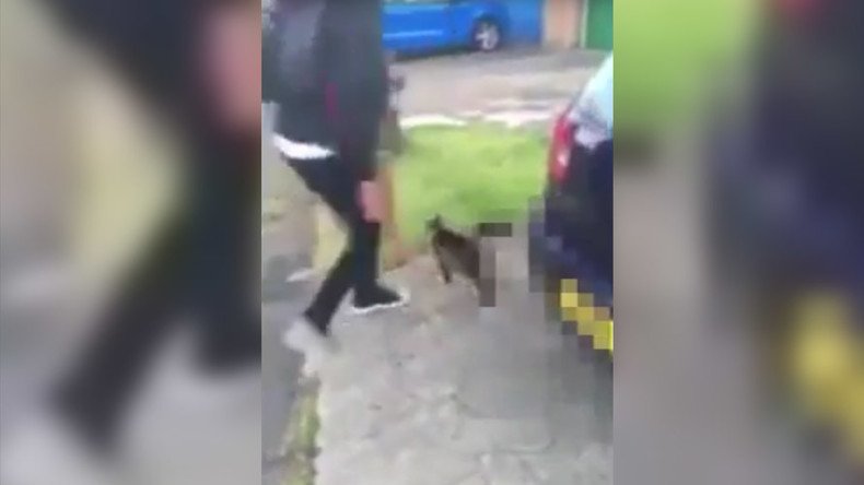 ‘Heartless scumbag’ who lured cat into violent kicking arrested (DISTURBING VIDEO)