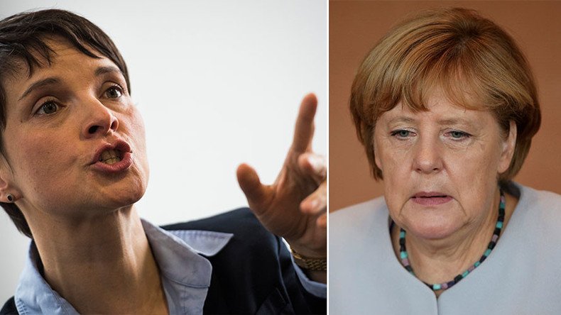 Unable to ‘see beyond her own lifespan:’ AfD’s Petry slams Merkel for not having children