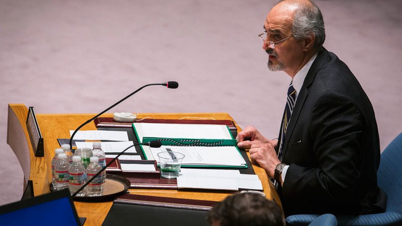 Syria ‘won’t turn into Libya,' ready for talks without preconditions – Syrian UN envoy