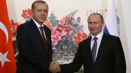 ‘Path to normalization’: Putin and Erdogan talk partnership at G20 summit 