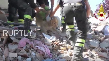 Dog rescued from Italy’s earthquake rubble after being buried for 9 days (VIDEO)