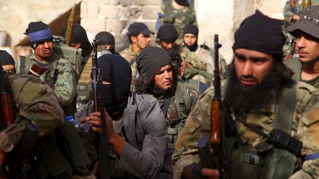 Terrorist group or not? Lavrov says US-led coalition 'reluctant' to strike Al-Nusra Front in Syria