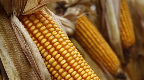 Bayer confirms Monsanto takeover with $66bn bid