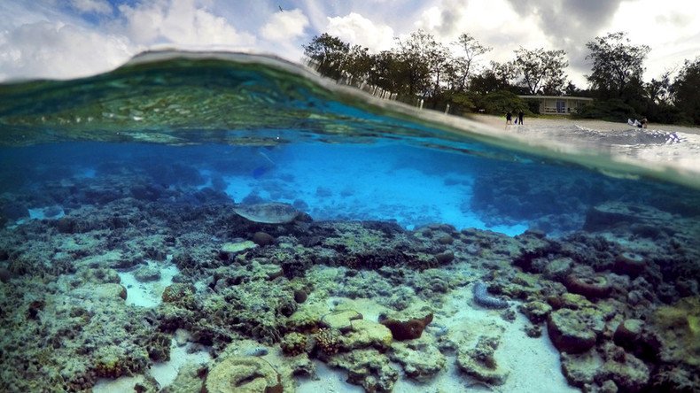 Viral spiral: 'Obituary' for embattled Great Barrier Reef slammed for hyperbole