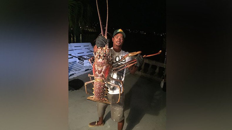 It came from Hurricane Nicole: 14lb lobster caught in Bahamas (PHOTO, VIDEO)