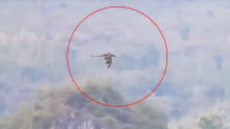 ‘Mysterious dragon’ filmed flying through Chinese mountains (VIDEO)