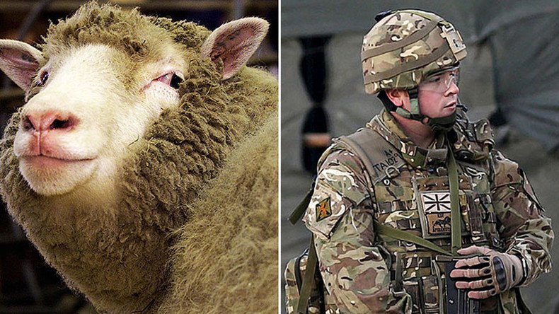 Wolves in sheep’s clothing: SAS given super-strength wooly jumpers
