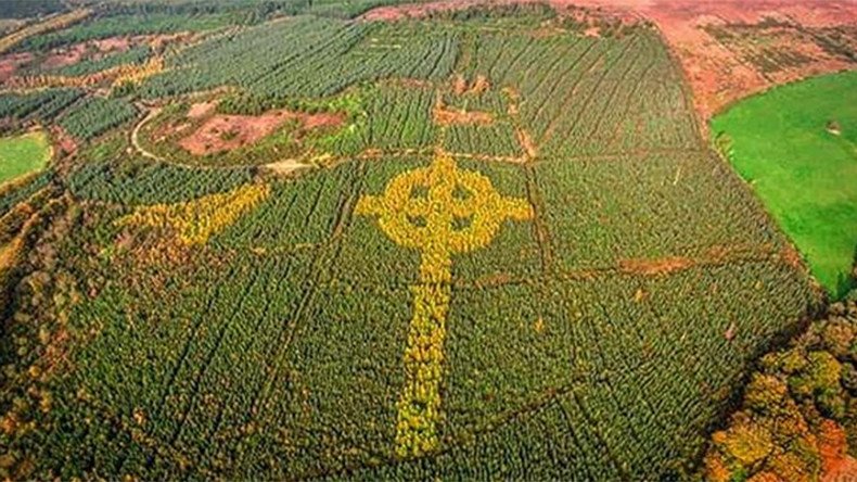 Mysterious giant Celtic cross spotted by drone growing in Irish forest (VIDEO, IMAGES)